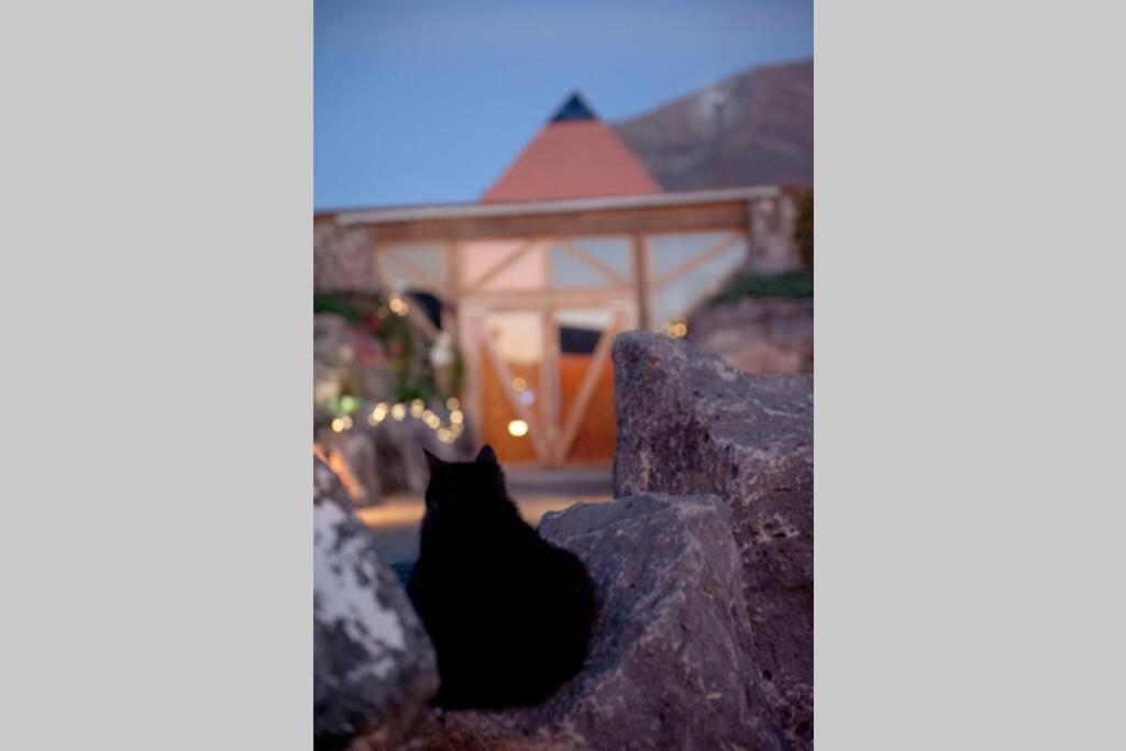 Tranquila Tierra - Eco Retreat Finca Artis Tirma Тарахалехо Экстерьер фото